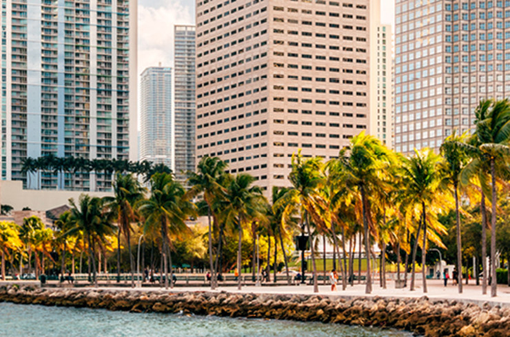 miami beach with buildings in background