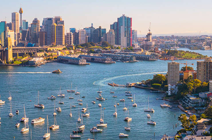 sydney harbour in the morning