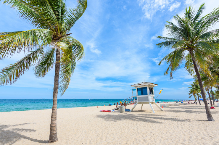 Bright beach with palm trees and a life guard hut