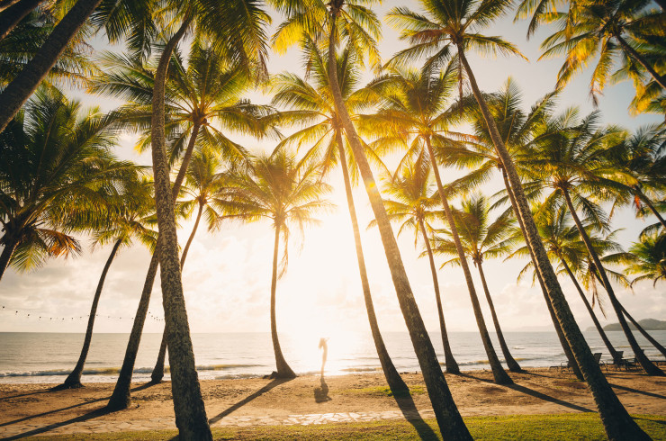Palm Cove beach, Cairns, Australia at sunrise