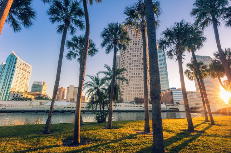 Palm trees in front of towering skyscrapers in the early afternoon