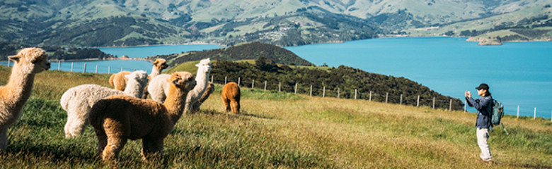 Airport header image