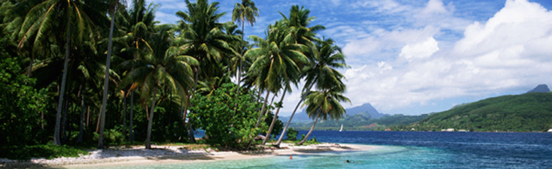 Airport header image