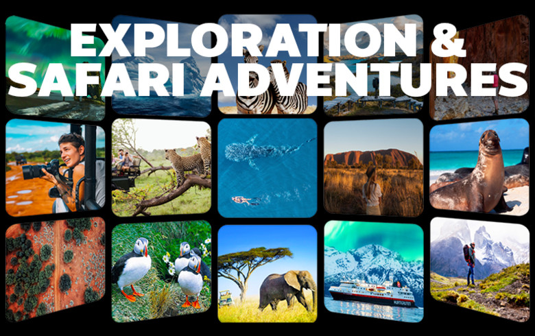 Exploration & Safari adventures - windows showing multiple popular holiday destinations