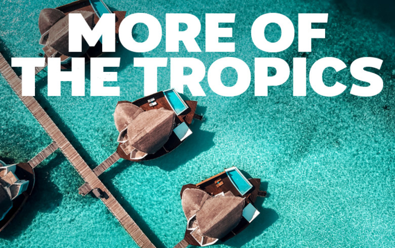 More of the tropics | top down view of bungalows in the Maldives