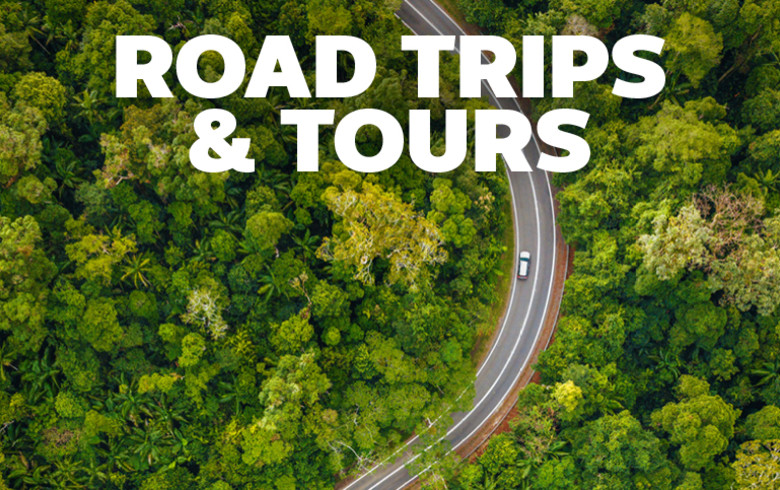 Road Trips & Tours | Top down view of a road through a vibrant, green forest