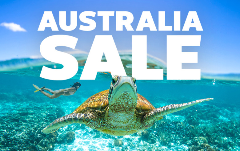 Green Sea Turtle swimming in bright, teal water featuring Australia sale