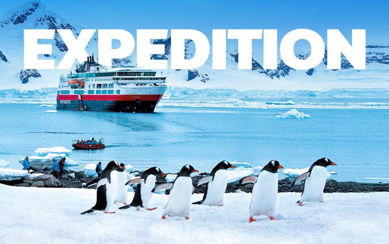 Gentoo Penguins in Antarctica running across snow with a Hurtigruten Expedition Cruise ship in the background