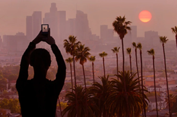 Palm trees at sunset