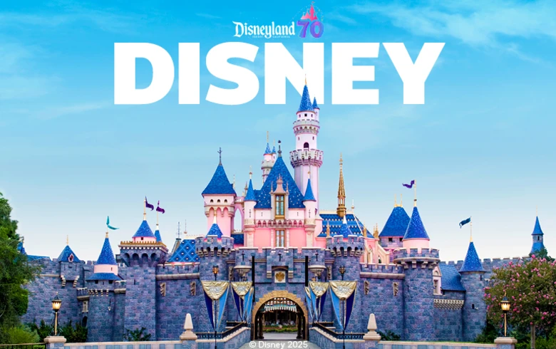 disney castle