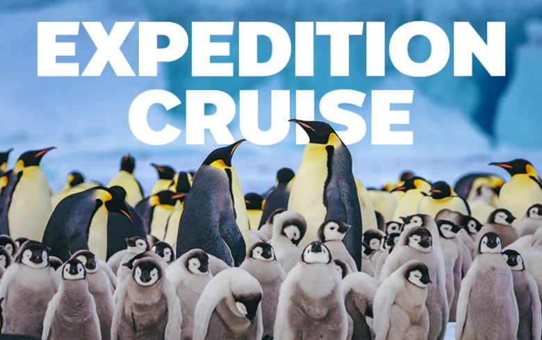 Expedition Cruise | Penguins!