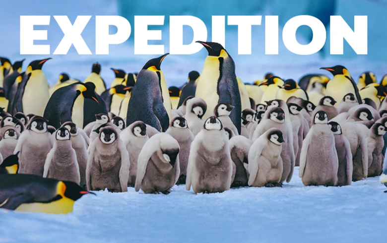 Expedition Cruises