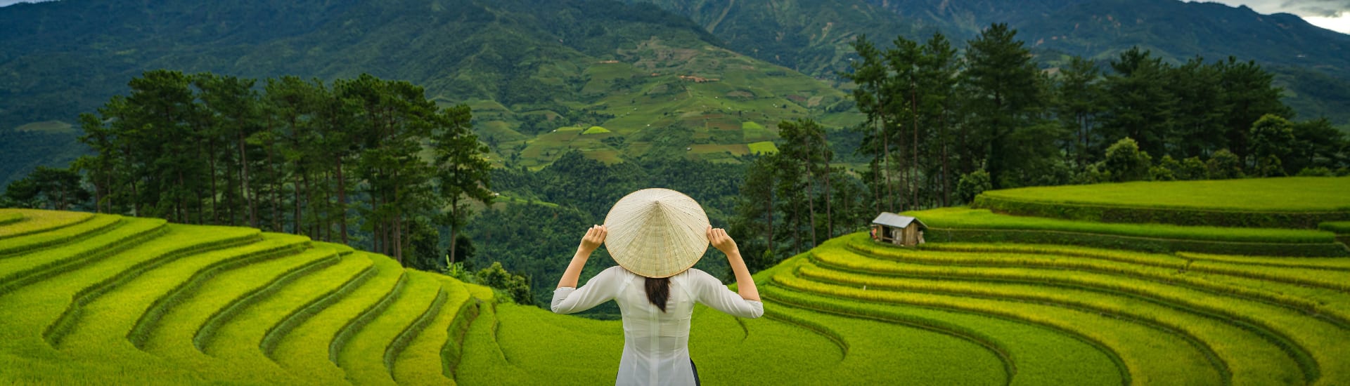 Singapore Airlines Sale