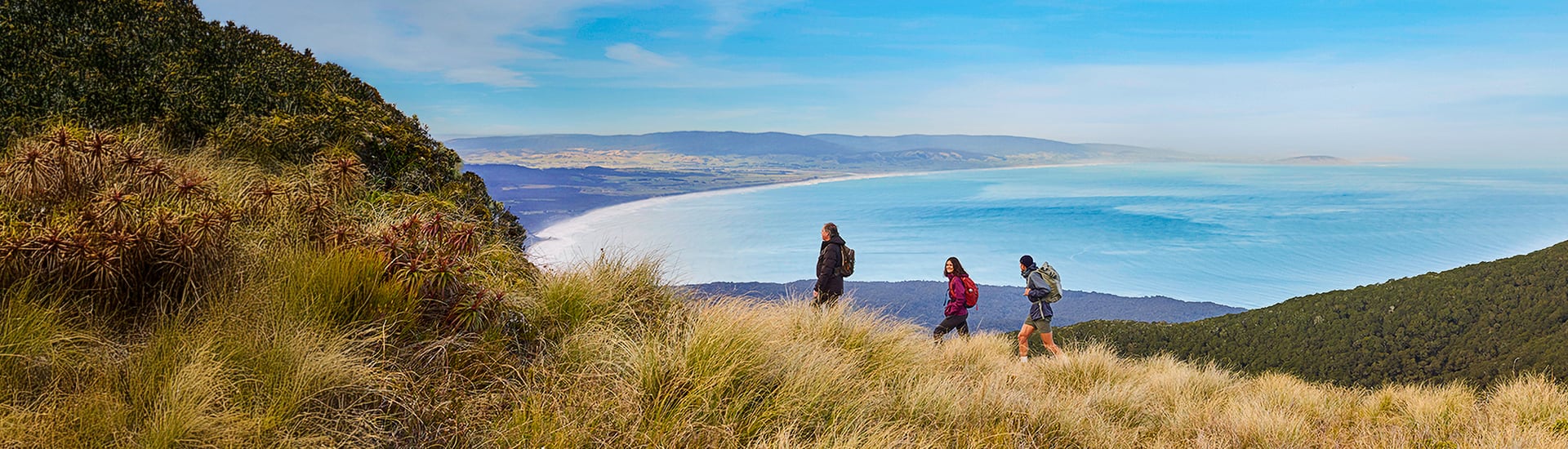 Hiking in New Zealand