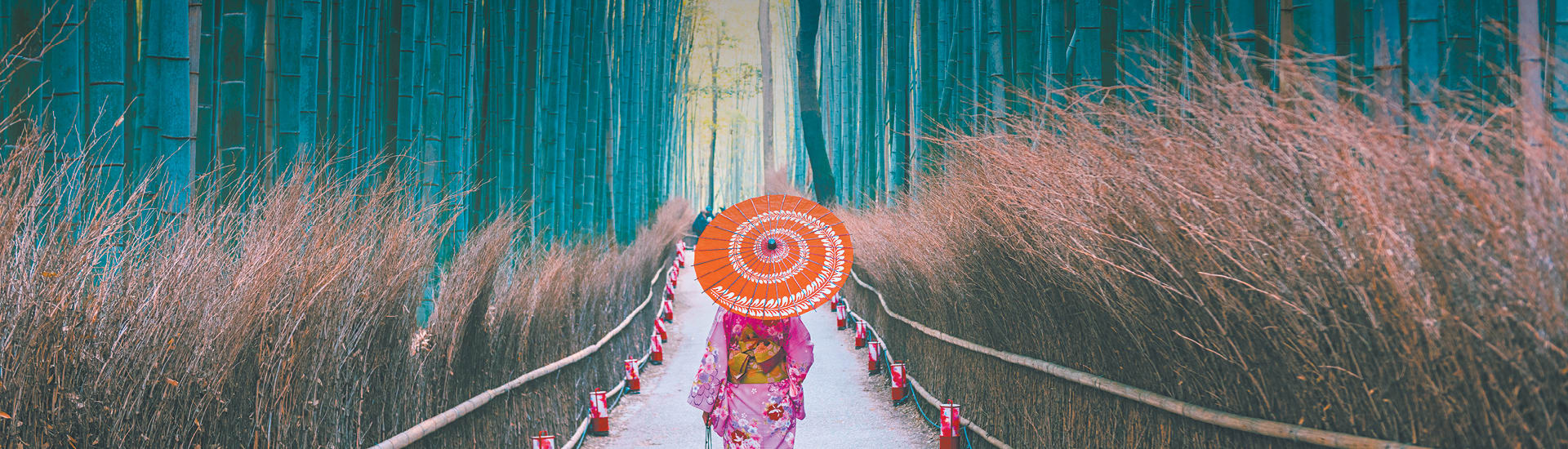 lady dressed in kimono holding umbrella walking through bamboo forest