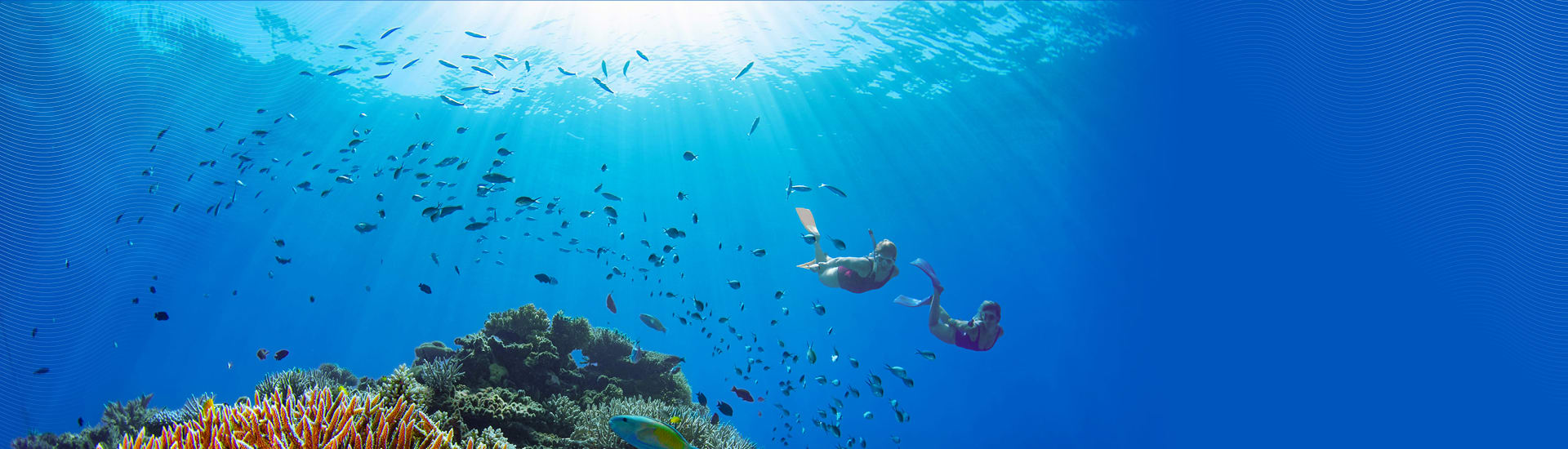 Flight Centre Exclusives