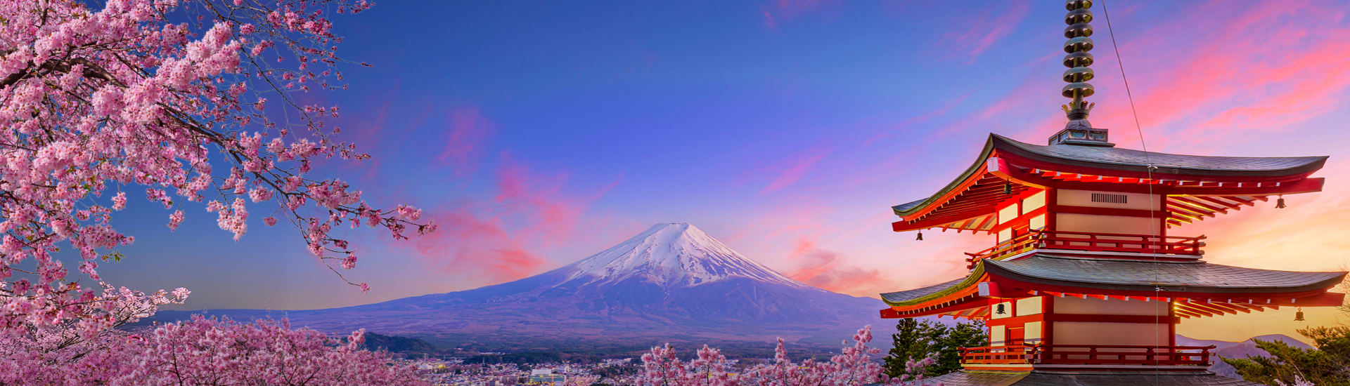 Cherry blossoms framing snow-capped Mount Fuji and a pagoda for the Japan sale saving up to $2150