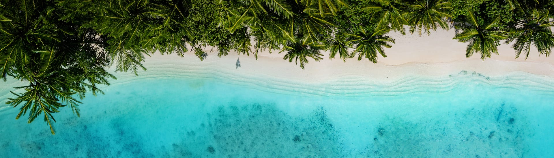 Aerial view of turquoise waves meeting a palm fringed beach for perfectly packaged holidays with incredible savings