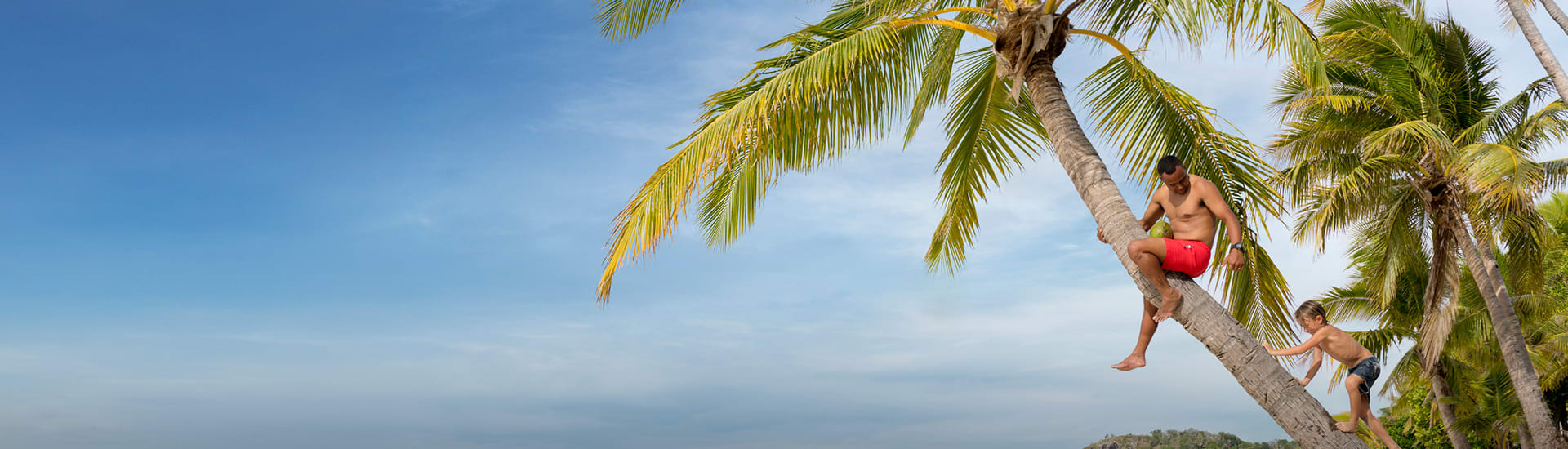 Fiji Background image
