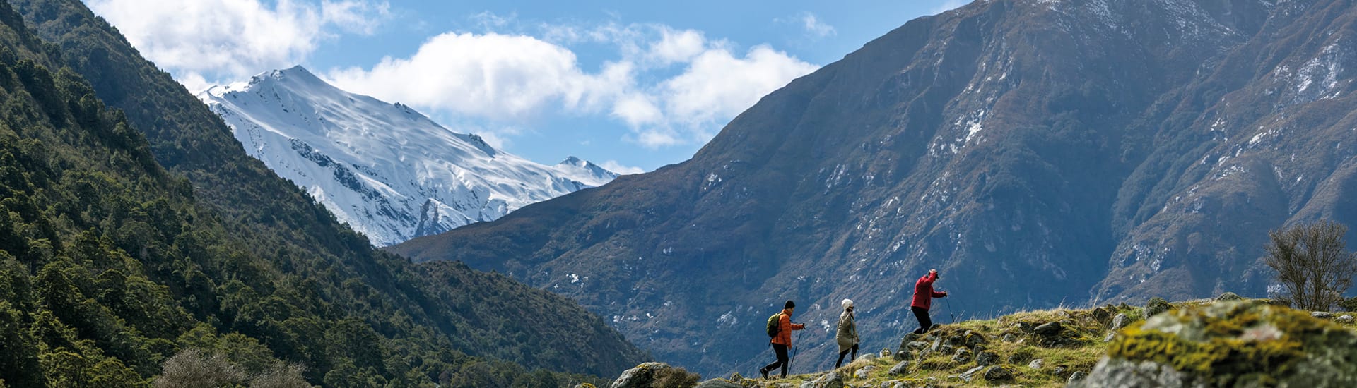 WIN a £5,000 trip to New Zealand