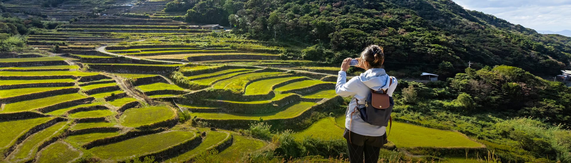 A tourist visiting rice fields in Japan