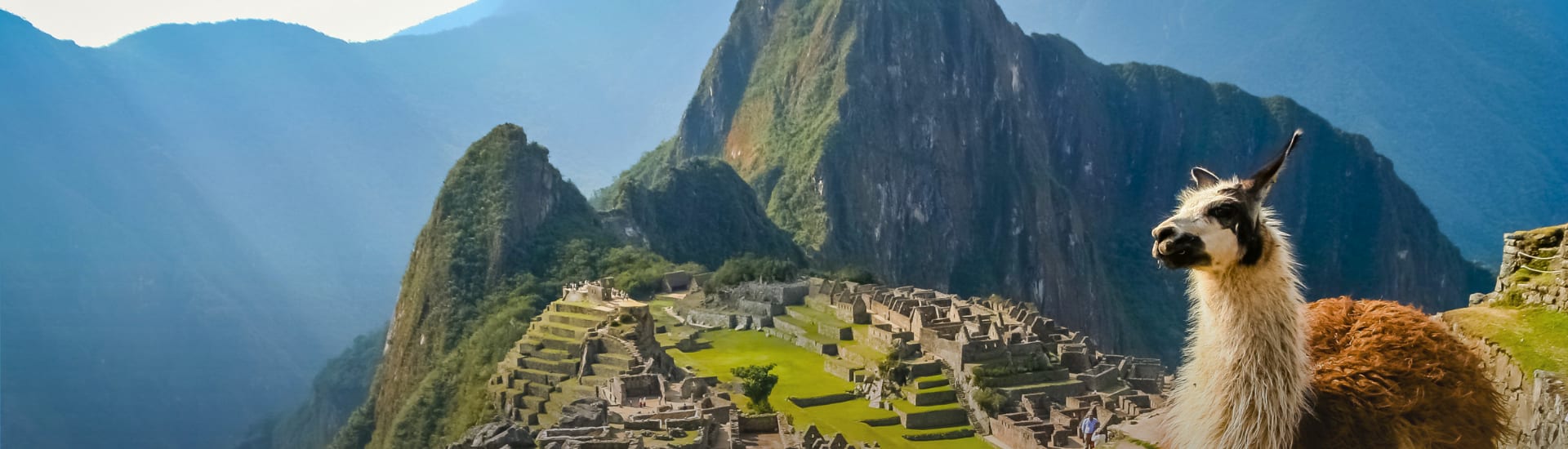 South America Sale