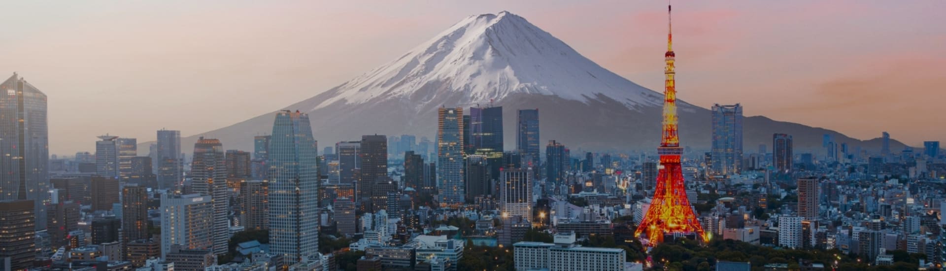 Tokyo city with Mt Fuji in background