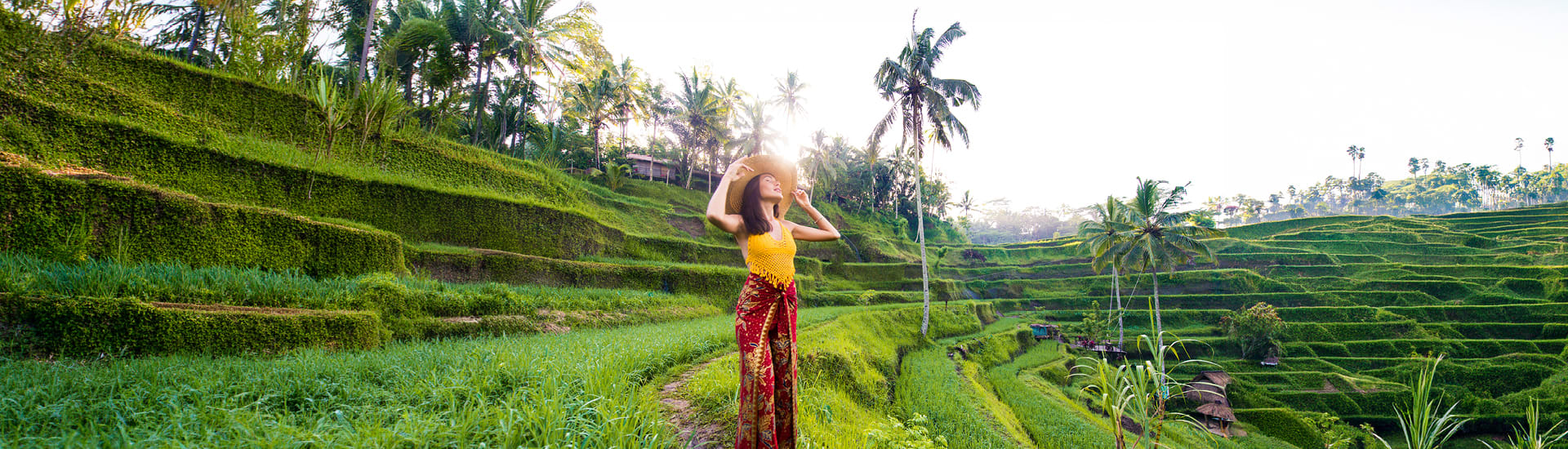 A view of rice paddies regarding Thailand and Japan holiday packages.