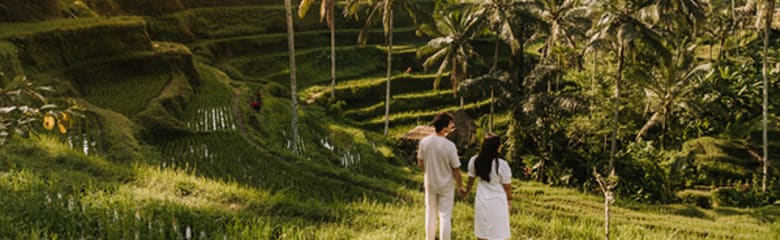 Airport header image