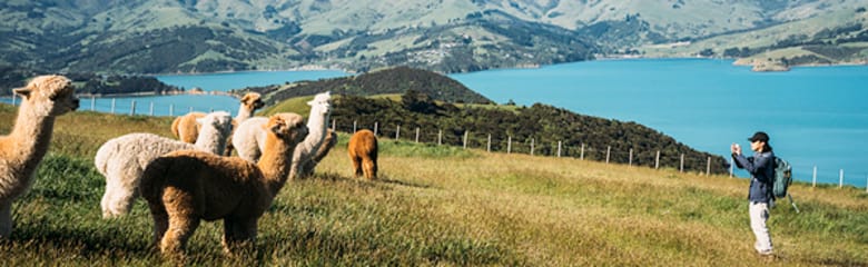 Airport header image