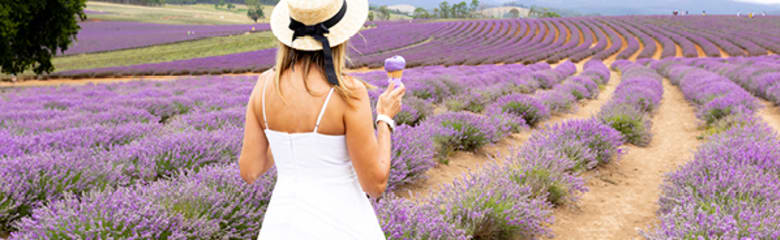 Airport header image