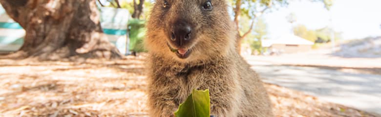 Airport header image