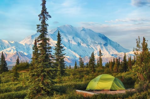 Green tent pitched in front of a snow-covered mountain in Denali National Park, Alaska.