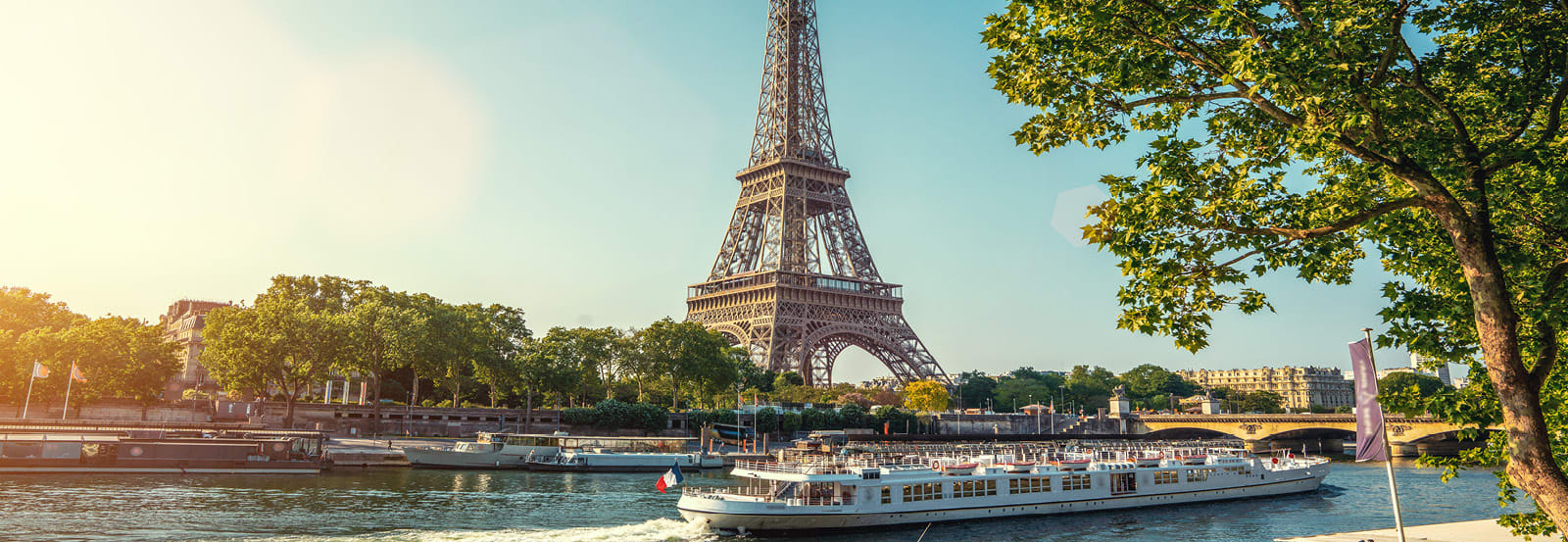 Eiffel tower in background and riverboat and tree in foreground