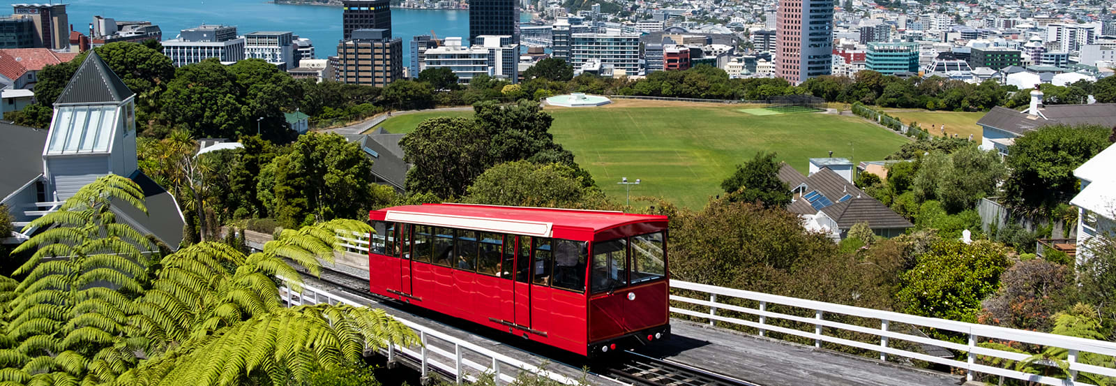 Single cart red train on track with CBD of Wellington is in the background