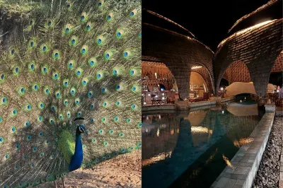 Luxury travel Wild Coast Tented Lodge