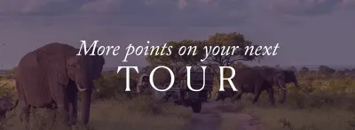 World360_Accelerated Earn