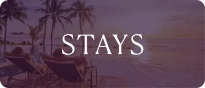 World360_Accelerated Earn