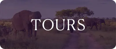 World360_Accelerated Earn