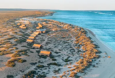 Western Australia Campaign