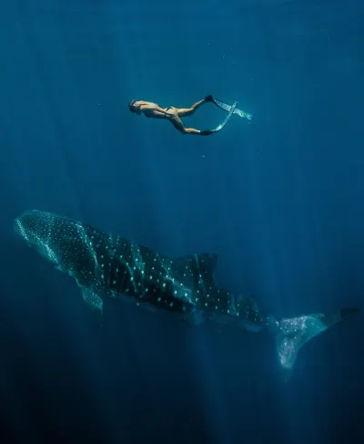 Western Australia Campaign