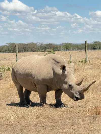 A&K Tanzania 