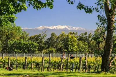 There are more that fifty wineries in the beautiful village of Martinborough. Image: Ata Rangi