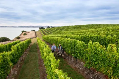 Biking the vines is an easy way to explore Marlborough