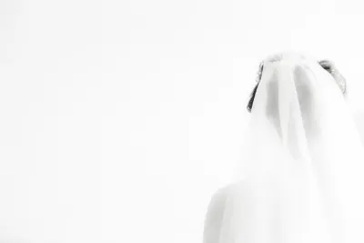 Rear view of bride in veil