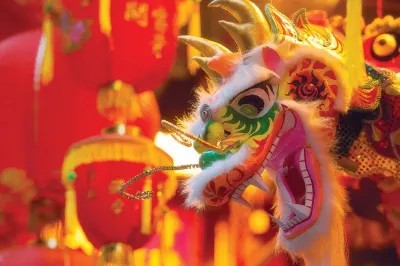 Chinese New Year Decorations