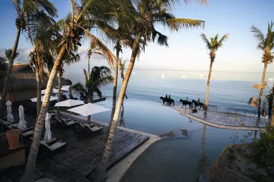 Horses ride along beach of tropical island resort