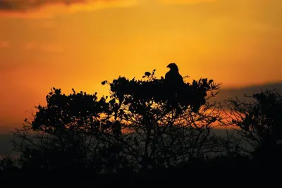 Travel Associates Expedition to Polar Paradise