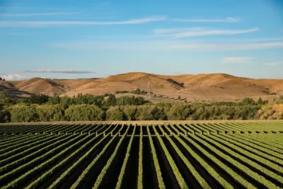 Travel Associates Keep dreaming of beautiful, natural New Zealand