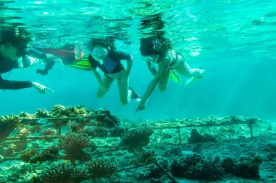 Travel Associates A Luxurious Escape at COMO Maalifushi